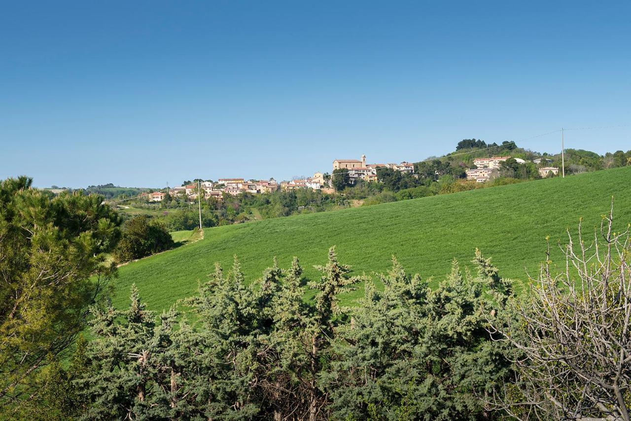 A11 - Varano, delizioso trilocale con giardino Ancona Esterno foto