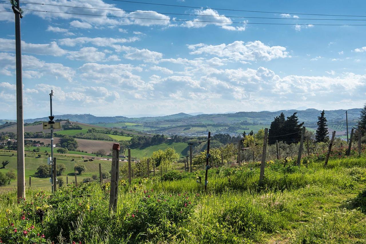 A11 - Varano, delizioso trilocale con giardino Ancona Esterno foto